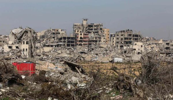 Aplastados pero desafiantes: Los viticultores de Gaza