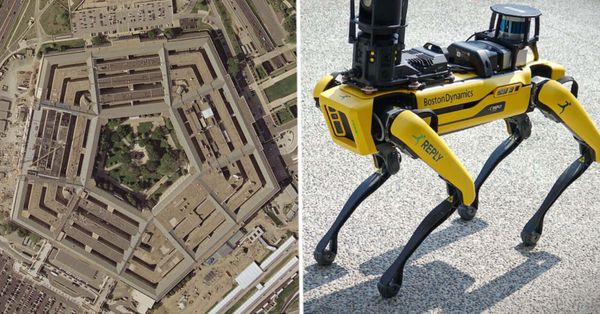 Hoy en la distopía: Robots del ICE y marionetas del Pentágono