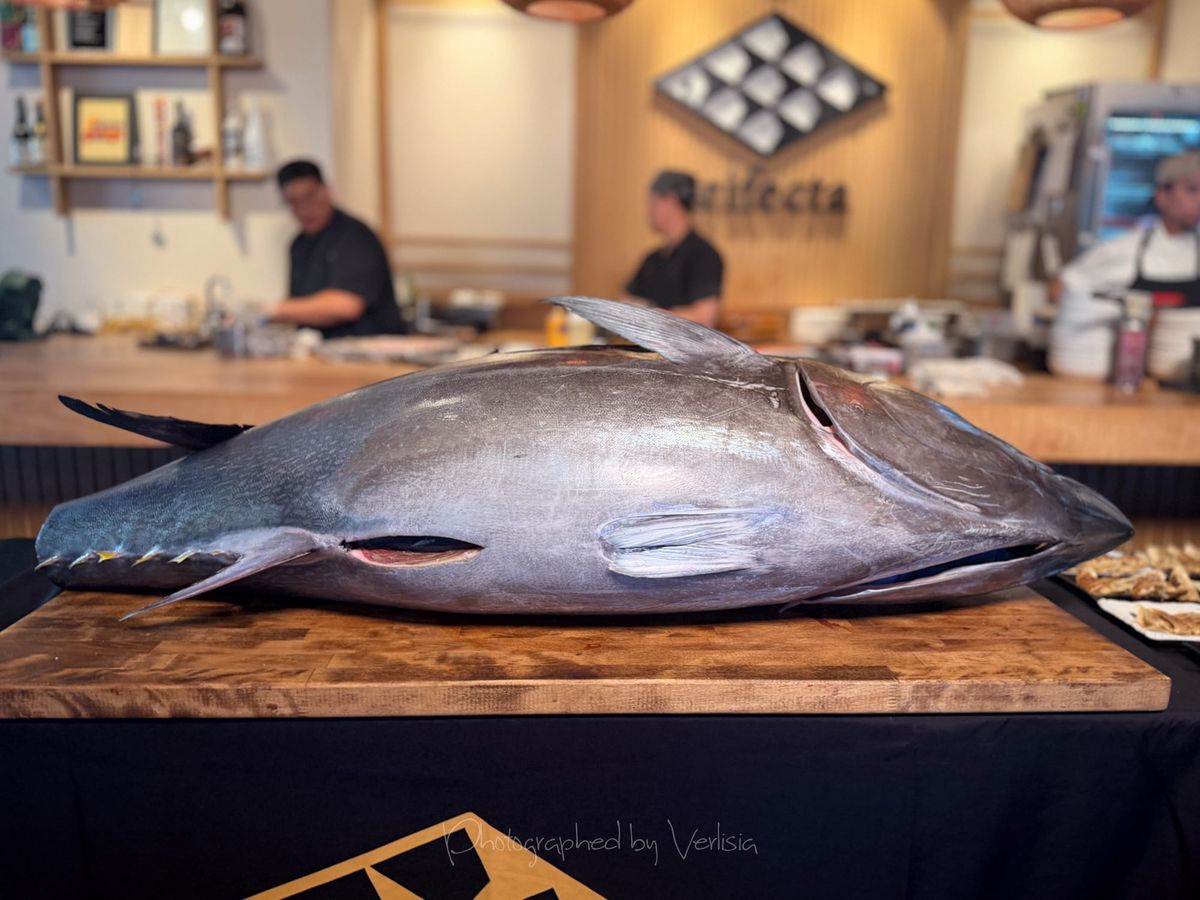 Trifecta, San Jose, California