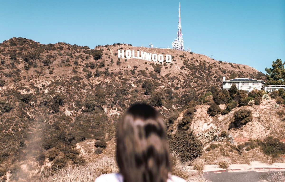 Palestine cannot be saved by stanning the right Celebrities