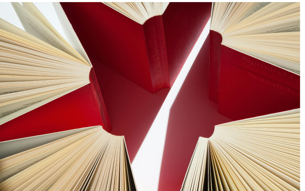 Trump and Rubio's Chinese Exclusion is Racist Security Theater