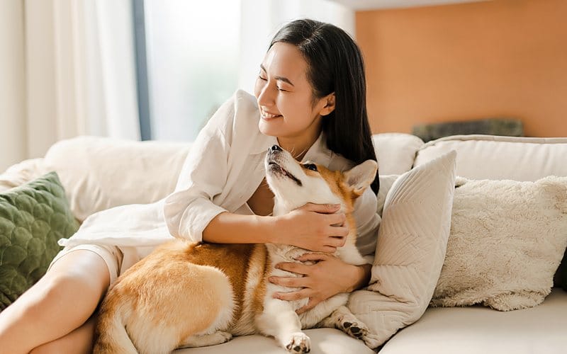 女性在沙發上與柯基犬相處