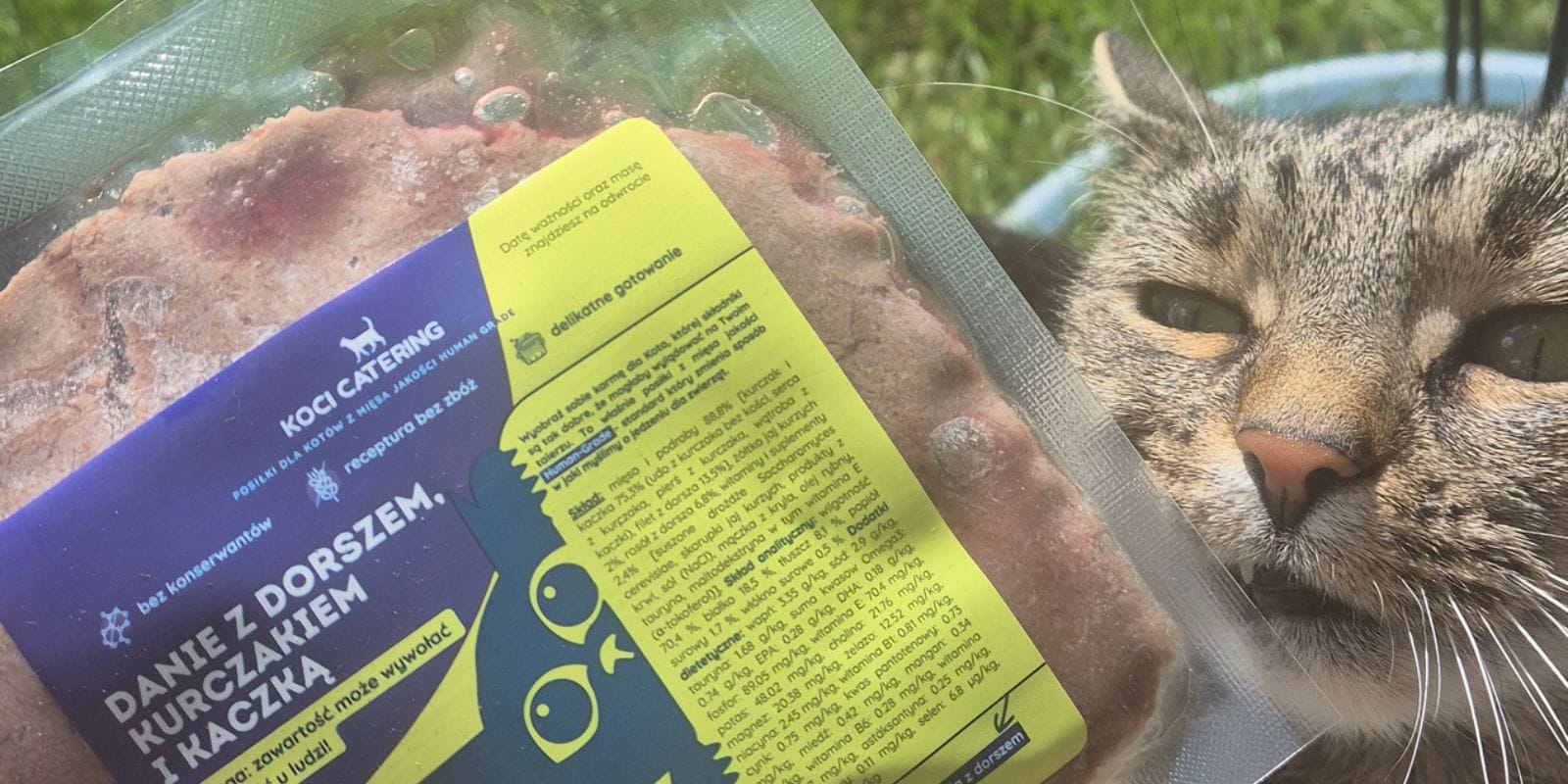 Kot obok opakowania mokrej karmy Koci Catering z dorszem, kurczakiem i kaczką.