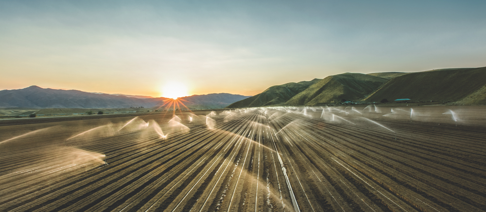 Where Your Propane Was Before It Got to You: Mont Belvieu, Texas