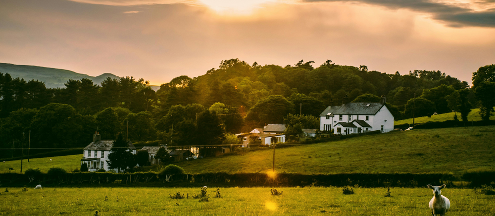 Propane Incentives for Sustainable Living: Government Programs and Rebates