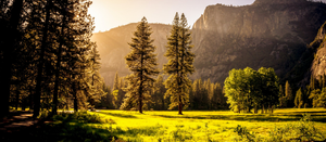 The Environmental Impact of Propane: A Sustainable Choice