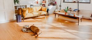 Propane-Powered Radiant Floor Heating: The Ultimate Comfort Solution