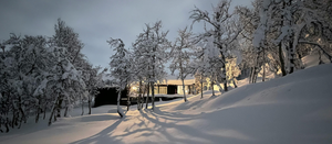 Propane: Your Reliable Energy Source When Winter Storms Strike