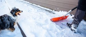 After the Storm: Steps to Ensure Your Propane System Is Running Safely