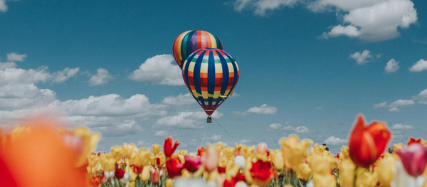 Celebrating LPG Day: A Revolution in Clean Energy