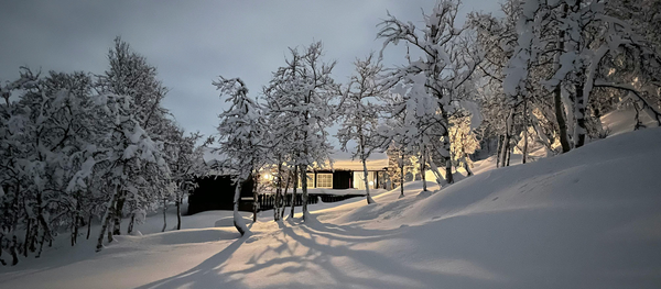 Propane: Your Reliable Energy Source When Winter Storms Strike