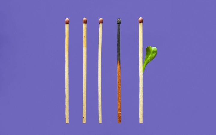 Back to the beginning