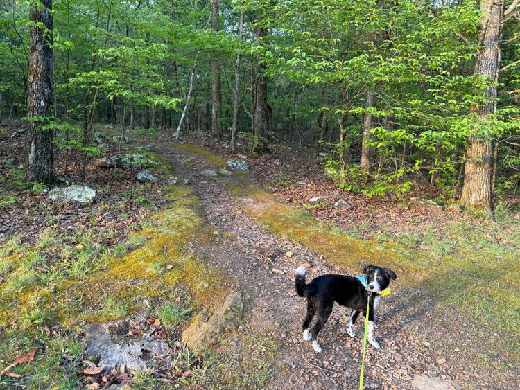 Lake Fort Smith State Park, Mountainburg, Arkansas