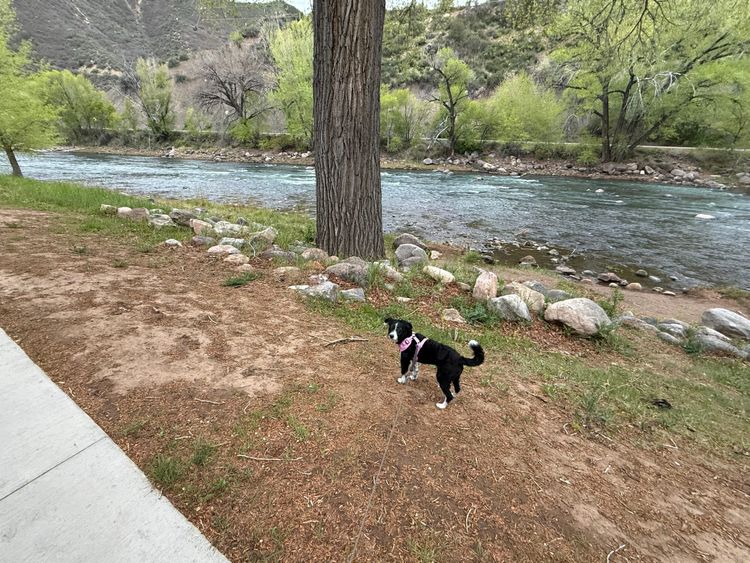 Durango, CO was amazing!