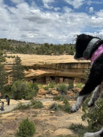 Mesa Verde National Park