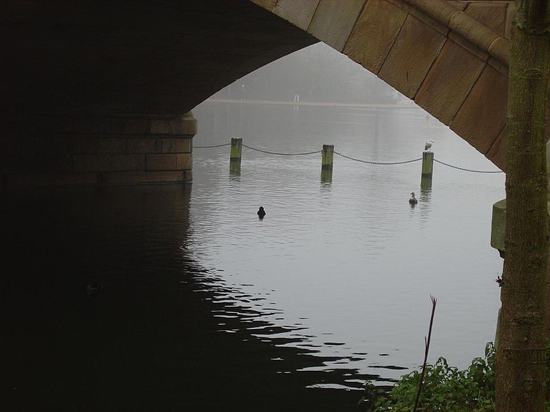 Serpentine-Bridge