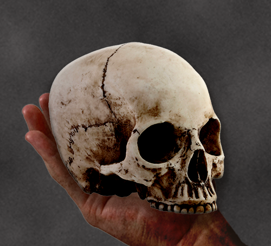 'Hamlet' and Public Education