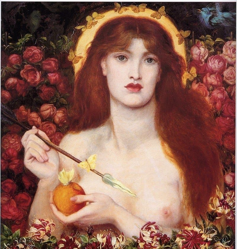 The Red Rose and the White Rose