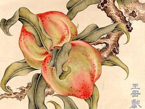 The apples and peaches of immortality