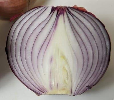 Agatha Christie and Orson Welles