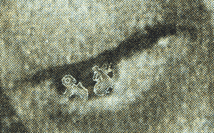 The Eyes of the Virgin