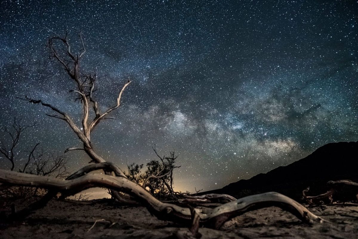A band of the the Milky Way galaxy is seen from Death Valley National Park with a gnarled tree branch in the foreground. Photo by Emre Ç. / Flickr.com.