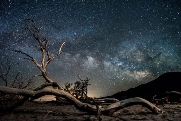A band of the the Milky Way galaxy is seen from Death Valley National Park with a gnarled tree branch in the foreground. Photo by Emre Ç. / Flickr.com.