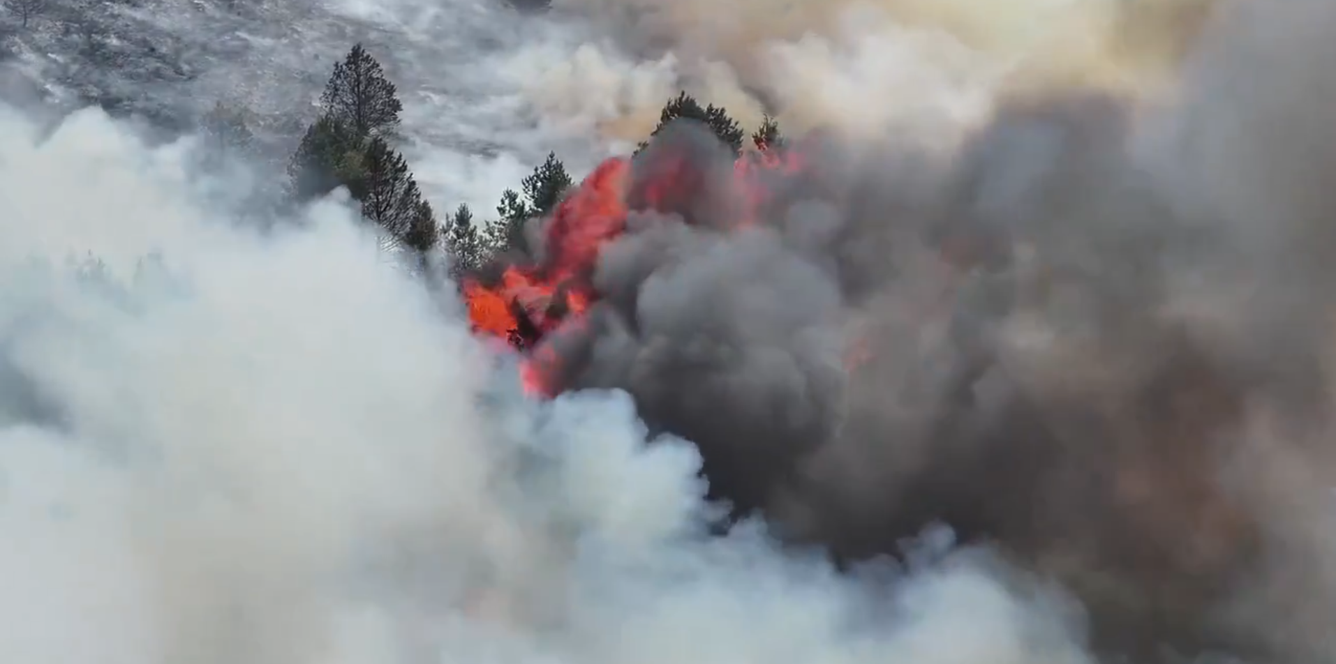 Intense heatwave sparks large wildfire in UK