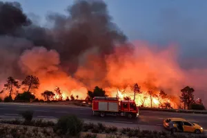 Six people killed in wildfires across Algeria