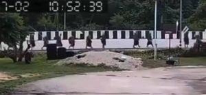 11-year-old boy kills eight monks in Thailand truck crash