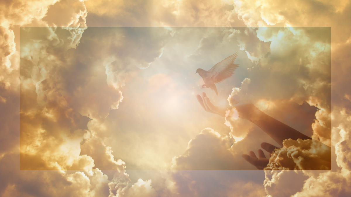 Let's Talk About You.