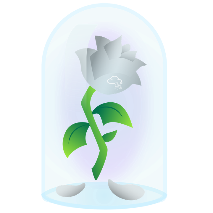 TryHackMe: Whiterose