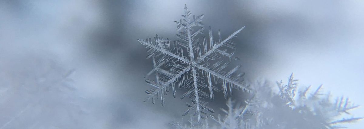 Crafting the Future: CRM/CDP Strategies for 2024