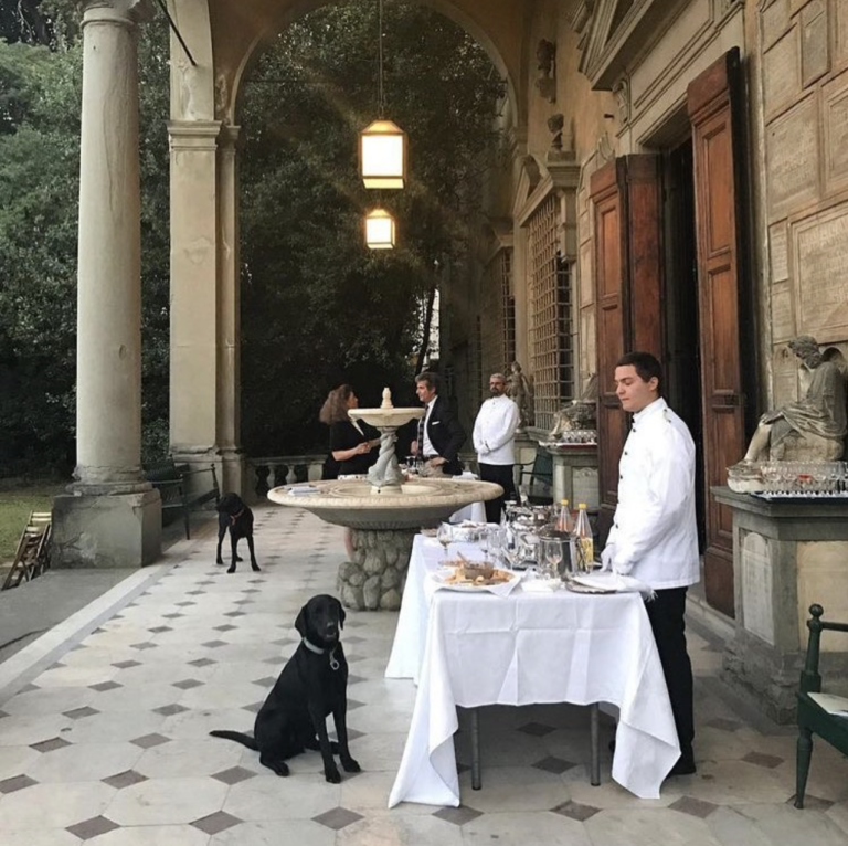 Production orale (C1) : structure