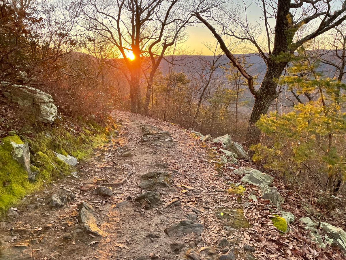 Analyze your Life's Story