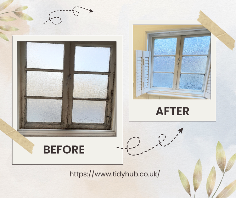 Let Tidy Hub Handle the Hard Work for You!