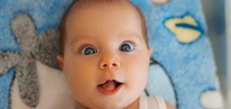 Early Food Introduction Guidelines and Reduction in Food Allergy