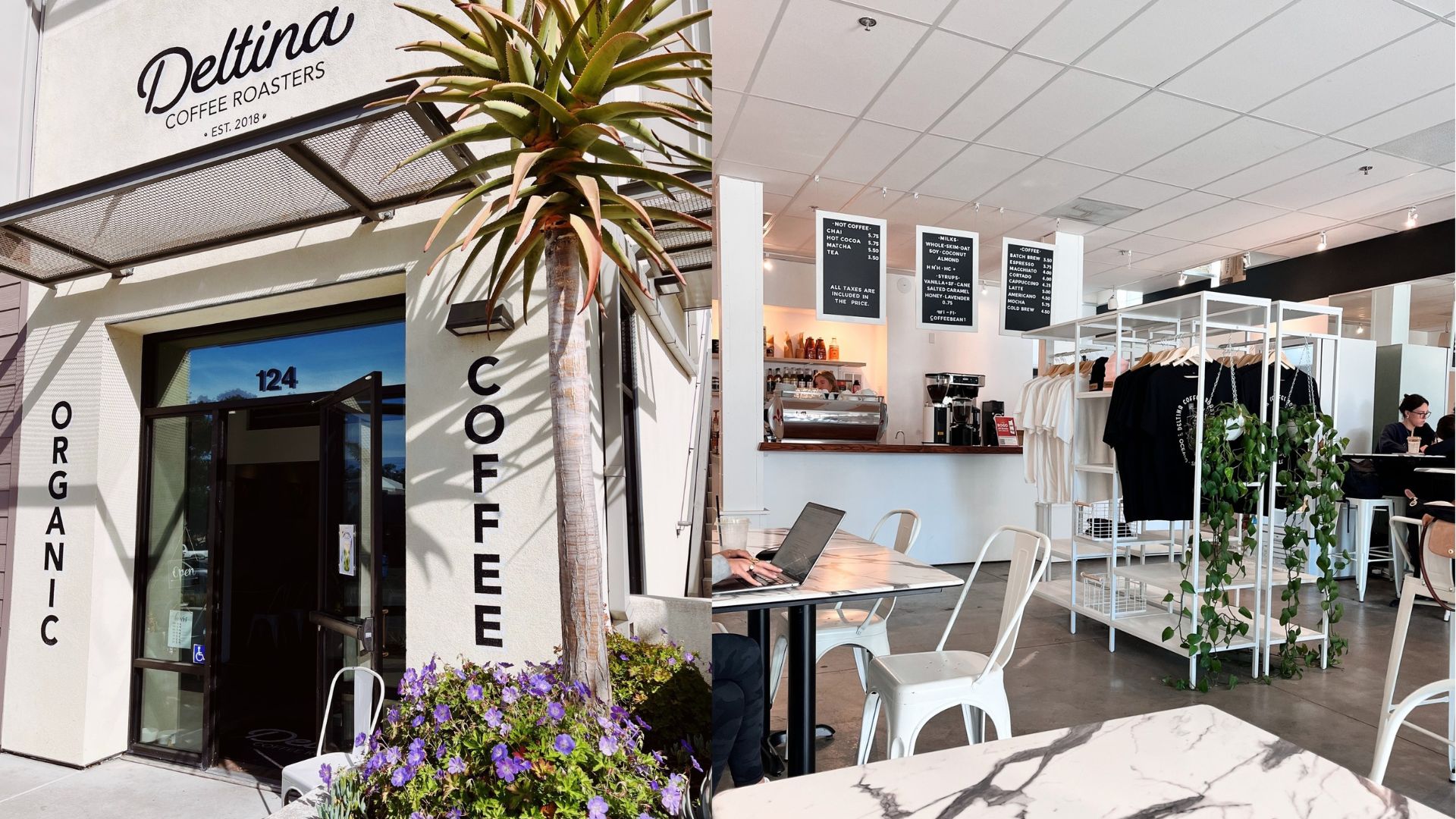 Left: The entrance to Deltina Coffee Roasters in San Luis Obisbo, CA. The glass front door is propped open with a white metal chair. The walls surrounding the door are painted a bright off-white with the Deltina logo in black above the door frame. Large block letters with the words "ORGANIC" AND "COFFEE" frame the doorway in black. A small palm tree to the right casts a shadow across the front of the building and large pot with purple flowers fills the foreground. Right: An inside photo of the cafe showcasing white and black faux marble tabletops, white metal chairs, a merchandise display, and students sitting at tables working. The menu board hangs from the ceiling near the back of the photo.