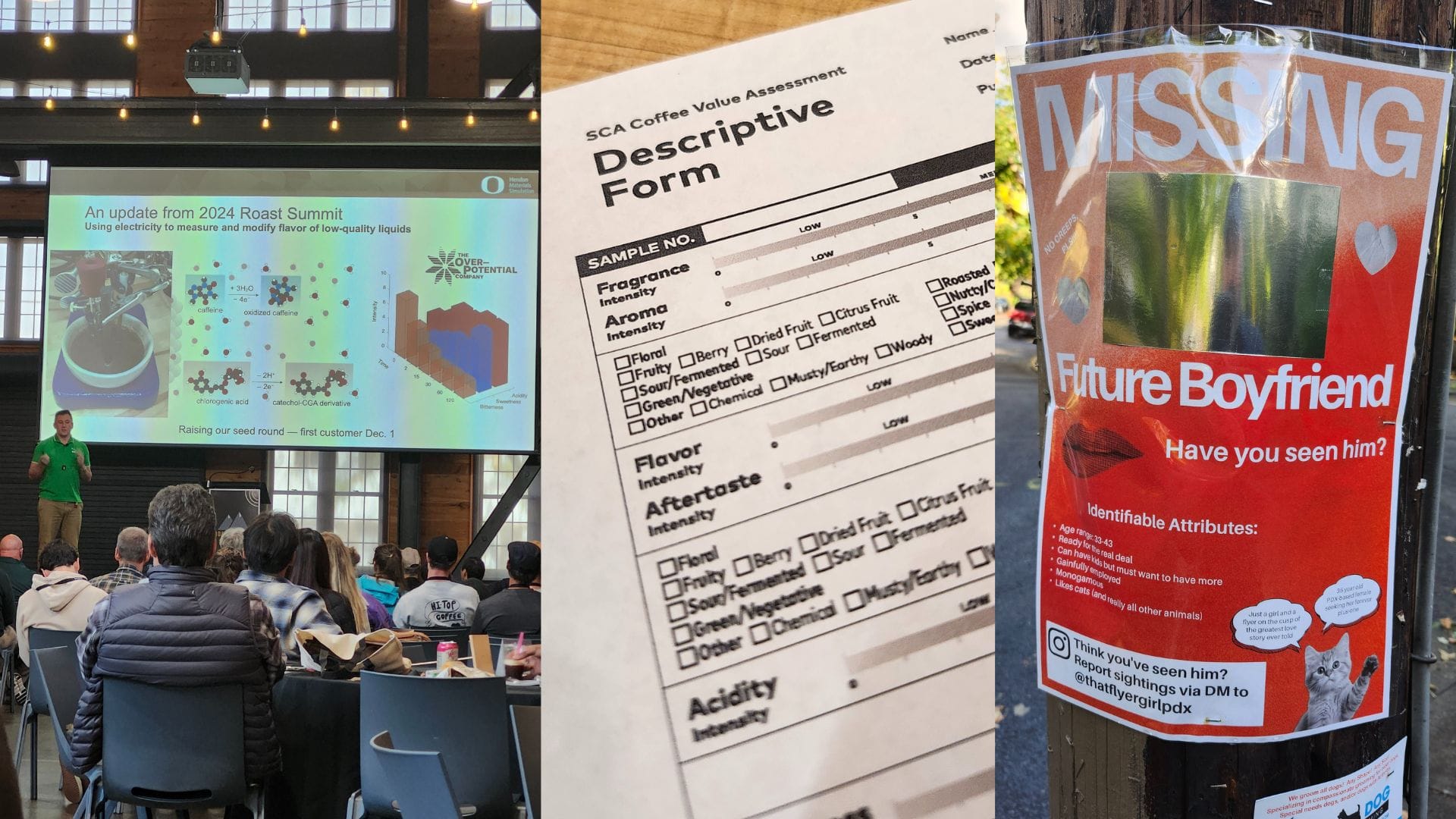 L-R: A big screen shows chemistry problems while a teacher lectures a large group room from stage. Center: A close up of a coffee value form with flavor and fragrance collection notes. Right: A sign stapled to a telephone pole that says "Missing Future Boyfriend. Have you seen him?" with a mirror showing your own reflection.