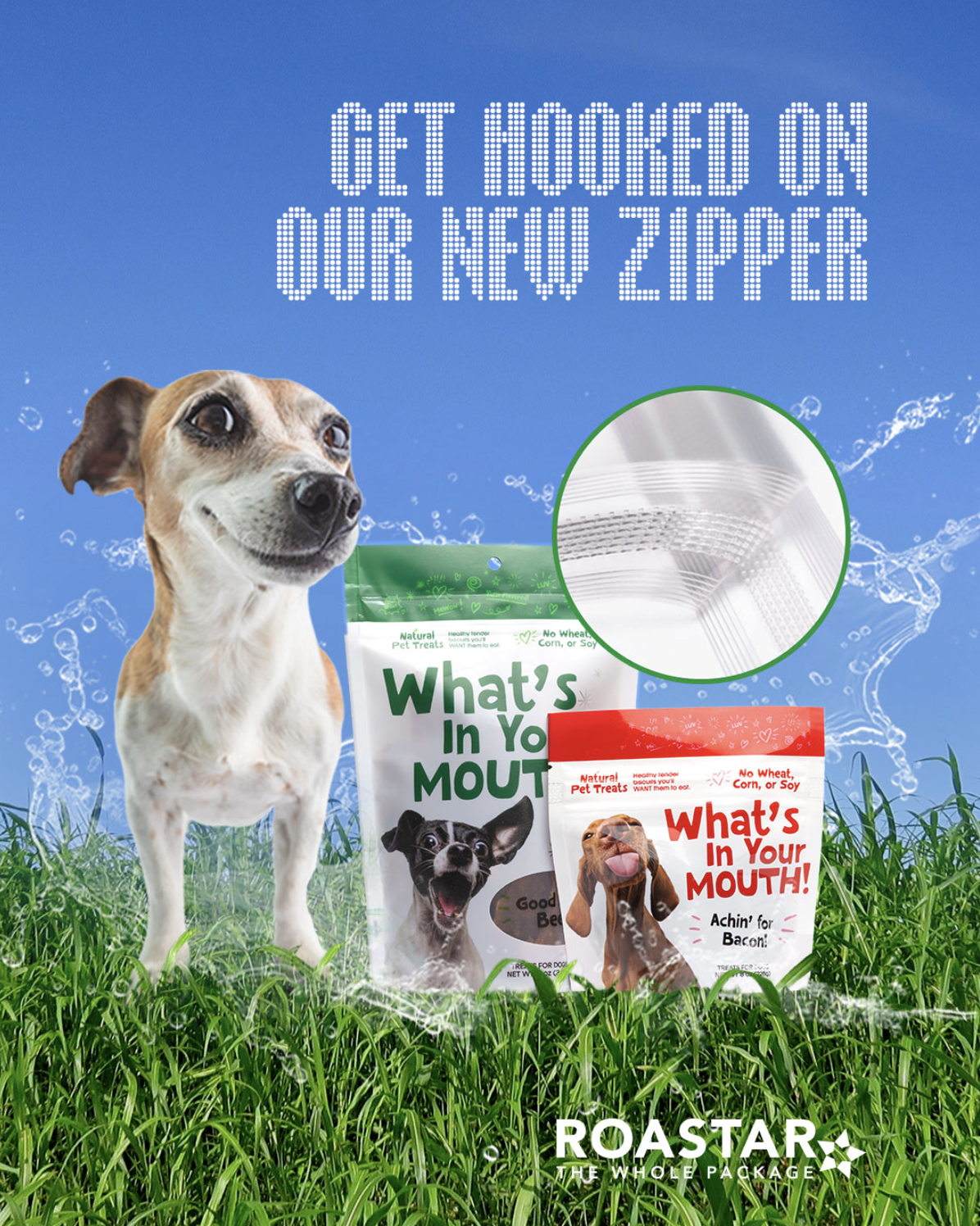 An advertisement for dog treat packaging. A smiling dog stands next to two pouch-style packages of treats set in the grass. Water splashes behind them and a close-up insert shows the packages resealable zipper.