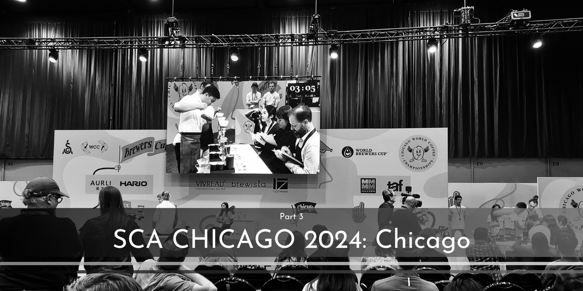 SCA Chicago 2024: Chicago. Pt. 3