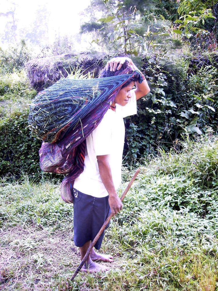 Rice, Sweet Potatoes, and the Web of Life