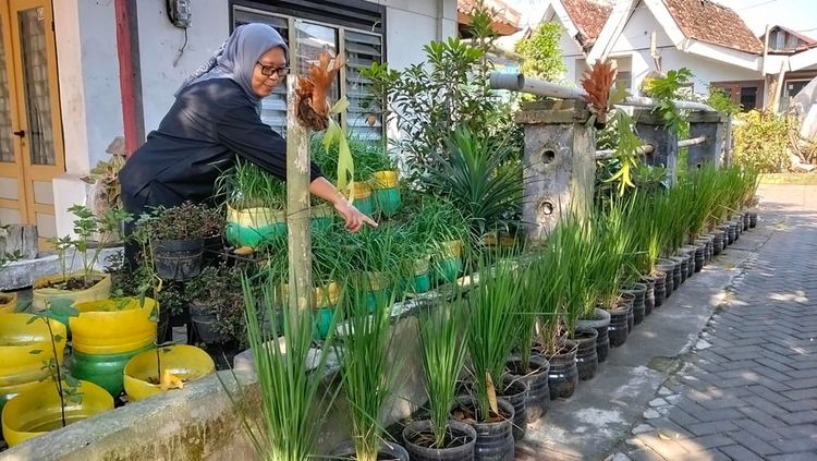 Managing Waste from Homes