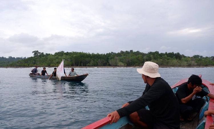 Octopus Sasi in the Mentawai Islands