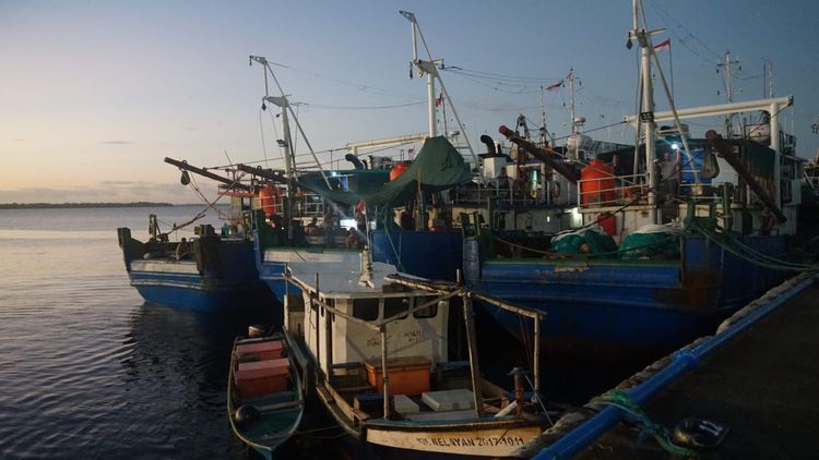 The Influx of Shrimp Trawlers in the Arafura Sea