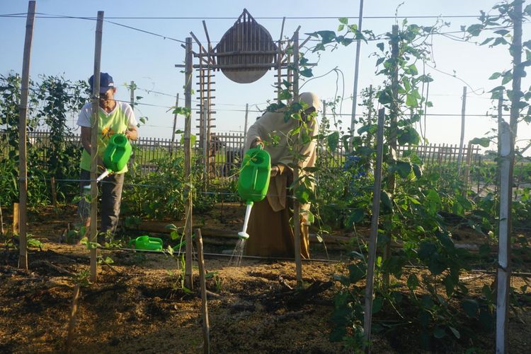 Women Guardians of Food Sovereignty