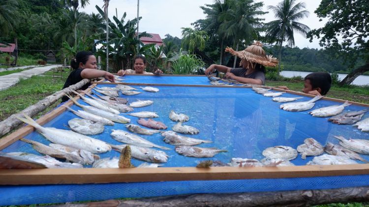 Salted Fish Processed by Women Fishers of South Pagai
