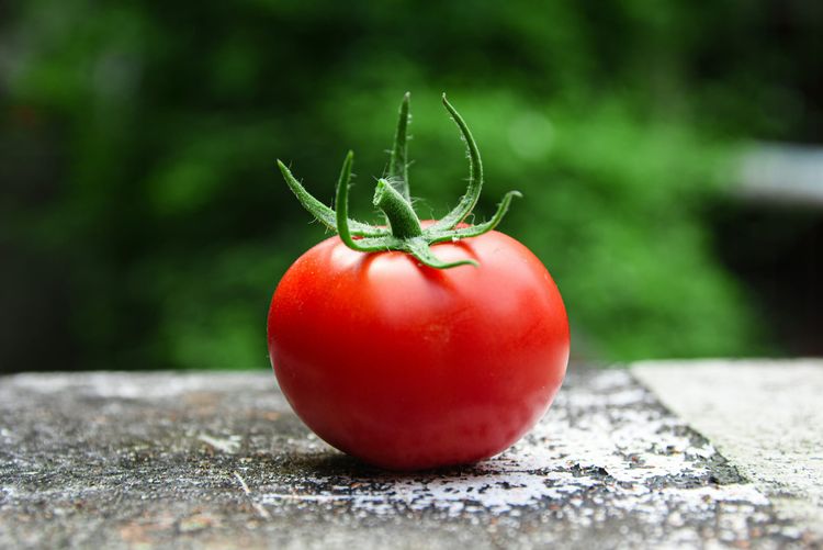 Busted: Five Myths About Eco-Friendly Eating