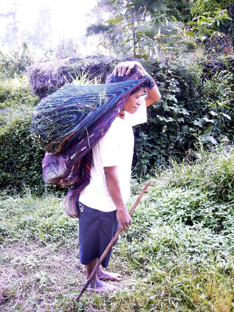 Rice, Sweet Potatoes, and the Web of Life