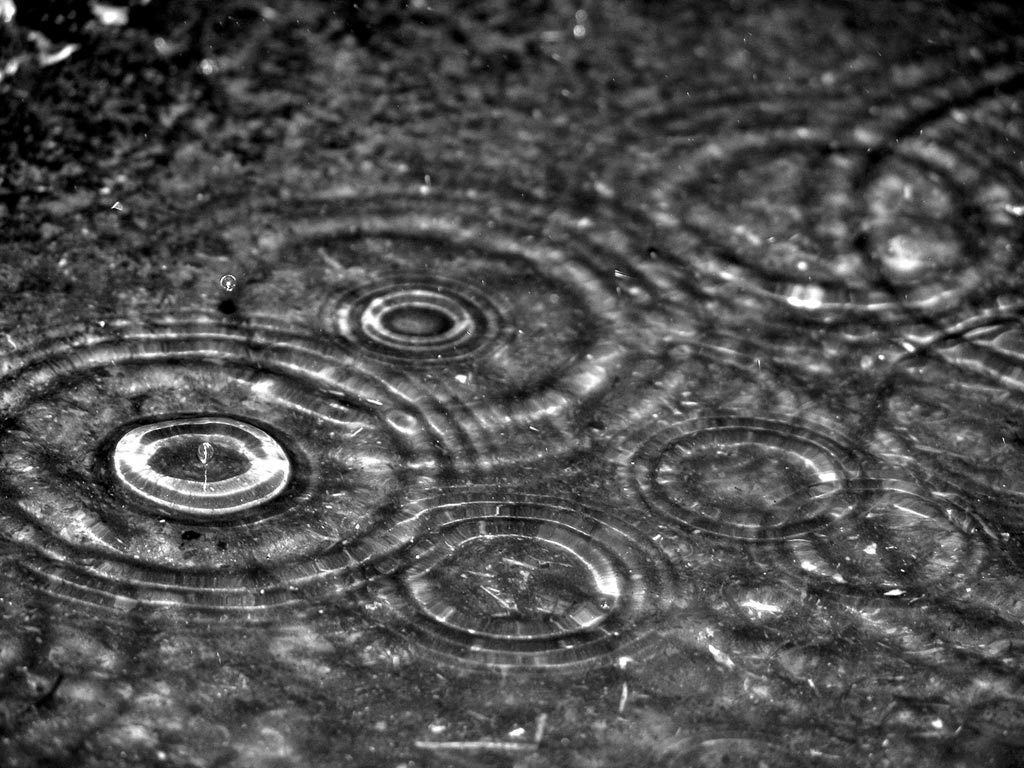 original-crying-rain-water-puddle